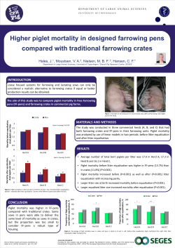 Higher Piglet Mortality in Designed Farrowing Pens Compared with