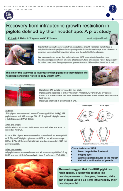 Recovery from Intrauterine Growth Restriction in Piglets Defined by