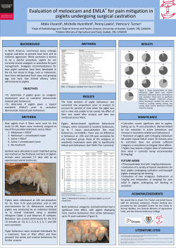 Evaluation of meloxicam and EMLAÂ® for pain mitigation in piglets