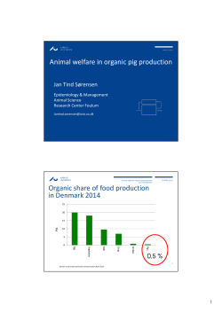 Animal welfare in organic pig production Organic share of food