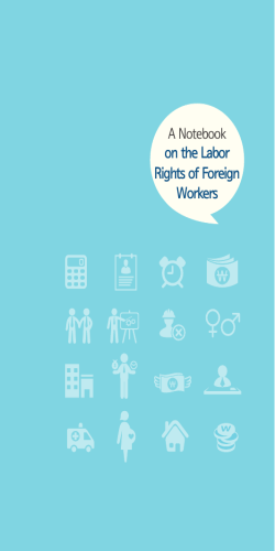 on the Labor Rights of Foreign Workers