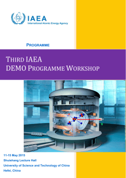 Third IAEA DEMO Programme Workshop