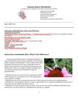 Kansas Insect Newsletter #4 - Marais des Cygnes District