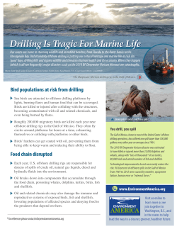 Drilling Is Tragic For Marine Life