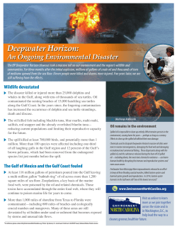 Deepwater Horizon: An Ongoing Environmental Disaster