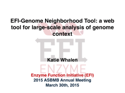 EFI-Genome Neighborhood Tool: a web tool for large