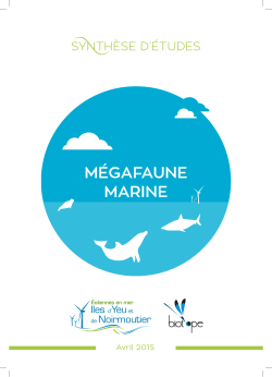 mÃ©gafaune marine - Parc Ã©olien en mer des Ã®les d`Yeu et Noirmoutier