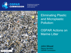 Eliminating Plastic and Microplastic Pollution: OSPAR Actions on