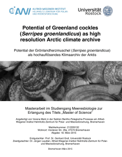Potential of Greenland cockles (Serripes groenlandicus - ePIC