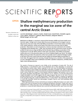 Shallow methylmercury production in the marginal sea ice