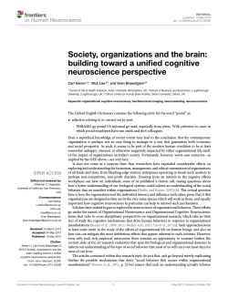 Society, organizations and the brain: building toward a