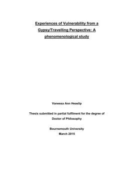 Experiences of Vulnerability from a Gypsy/Travelling Perspective: A