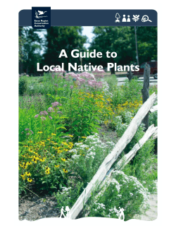 Native Plant Guide - Essex Region Conservation Authority