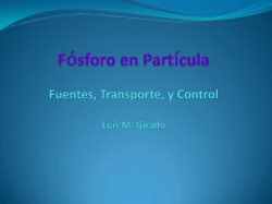 FÃ³sforo en PartÃ­cula: Fuentes, Transporte, y Control Luis M. Girado