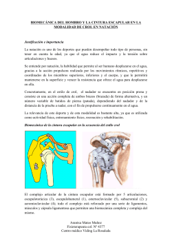 biomecÃ¡nica del hombro pdf - Estudio Biomecanico de la Pisada