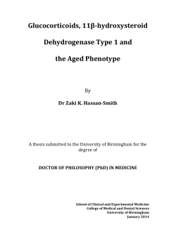 Glucocorticoids, 11Î²-hydroxysteroid dehydrogenase type 1 and the