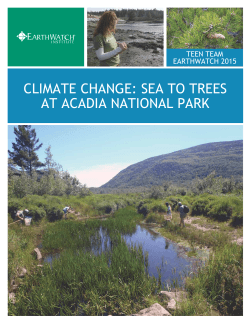 climate change: sea to trees at acadia national park