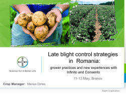 Late blight control strategies in Romania: