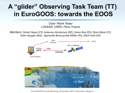 A âgliderâ Observing Task Team (TT) in EuroGOOS: towards the EOOS