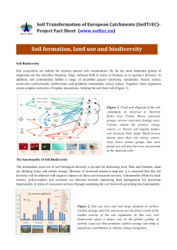 Soil formation, land use and biodiversity