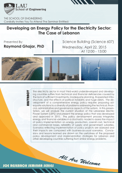 Developing an Energy Policy for the Electricity Sector: The Case of