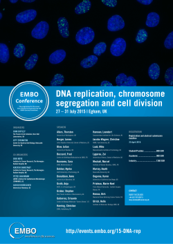 DNA replication, chromosome segregation and cell - Events