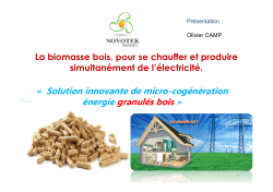 Â« Solution innovante de micro-cogÃ©nÃ©ration Ã©nergie granulÃ©s bois Â»