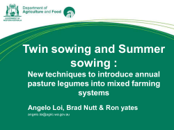 Twin sowing and summer sowing â Angelo Loi.
