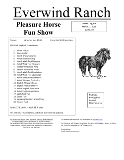 Pleasure Horse Fun Show