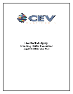 Livestock Judging: Breeding Heifer Evaluation â VideoActive