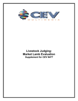 Livestock Judging: Market Lamb Evaluation