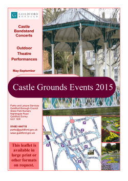 Castle Event Flyer 2..