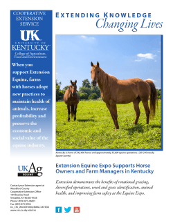 Extension Equine Expo Supports Horse Owners and Farm