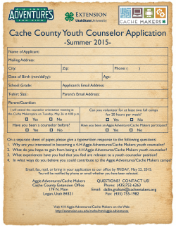 Cache County Youth Counselor Application