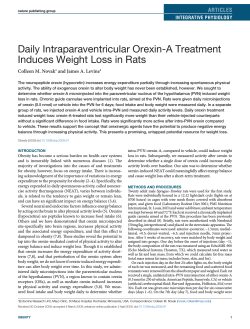 Daily Intraparaventricular Orexin-A Treatment Induces Weight Loss