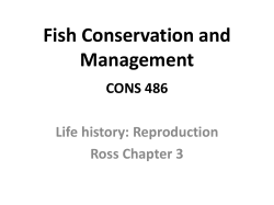 Lecture 3: Reproduction