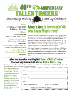 40th Anniversary flier - Friends of Fallen Timbers