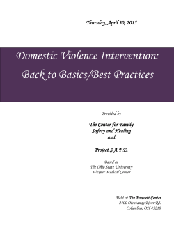 Domestic Violence Intervention: Back to Basics/Best Practices