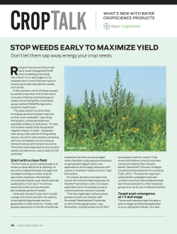 STOP WEEDS EARLY TO MAXIMIZE YIELD