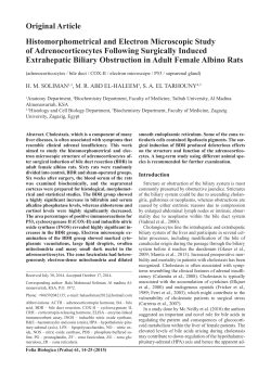 Original Article Histomorphometrical and Electron
