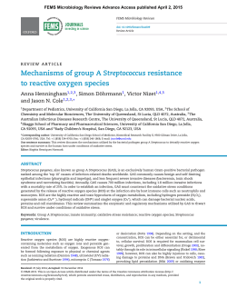 Mechanisms of group A Streptococcus resistance to reactive oxygen