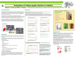 Evaluation of Yellow-poplar Decline in Indiana