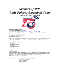 Summer of 2015 Little Falcons Basketball Camp