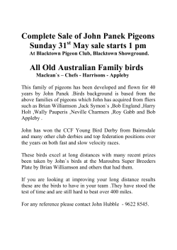 Complete Sale of John Panek Pigeons Sunday 31 May sale starts 1