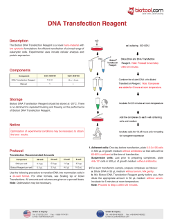 Biotool DNA Transfection Reagent