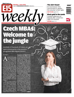 czech MBas: Welcome to the jungle