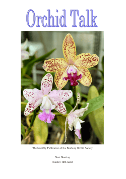 March 2015 Orchid Talk