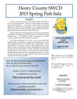 2015 Spring Fish Fillable Brochure
