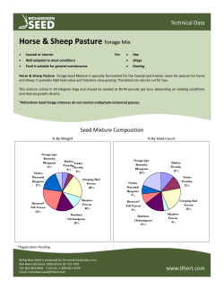 Horse & Sheep Pasture - TerraLink Horticulture Inc.