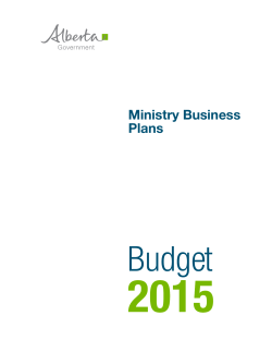 2015-20 Ministry Business Plans (Complete Volume)